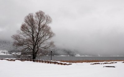 Bolu Aladağ Yaylaları & Yedigöller Turu